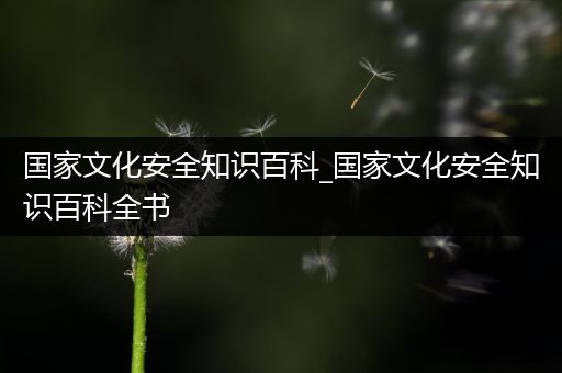 国家文化安全知识百科_国家文化安全知识百科全书
