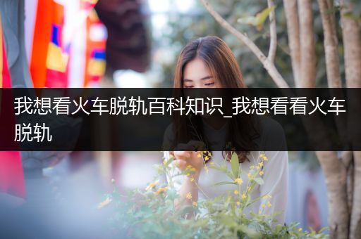 我想看火车脱轨百科知识_我想看看火车脱轨