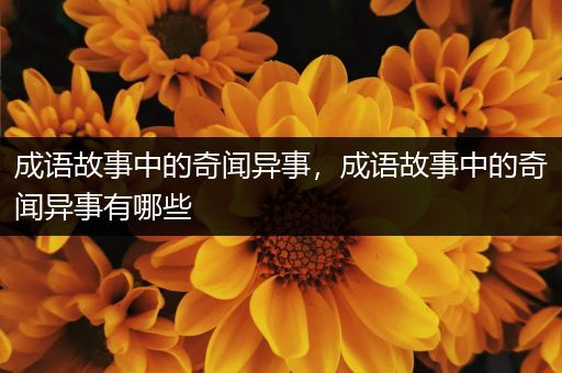 成语故事中的奇闻异事，成语故事中的奇闻异事有哪些