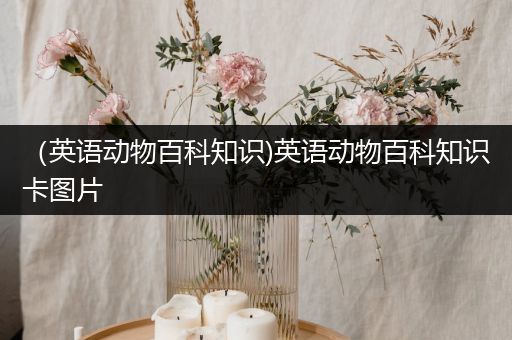 （英语动物百科知识)英语动物百科知识卡图片