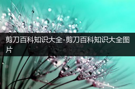 剪刀百科知识大全-剪刀百科知识大全图片