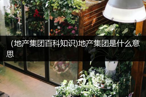 （地产集团百科知识)地产集团是什么意思
