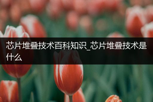 芯片堆叠技术百科知识_芯片堆叠技术是什么