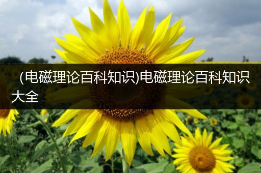 （电磁理论百科知识)电磁理论百科知识大全