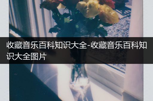 收藏音乐百科知识大全-收藏音乐百科知识大全图片