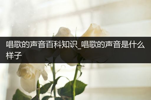 唱歌的声音百科知识_唱歌的声音是什么样子