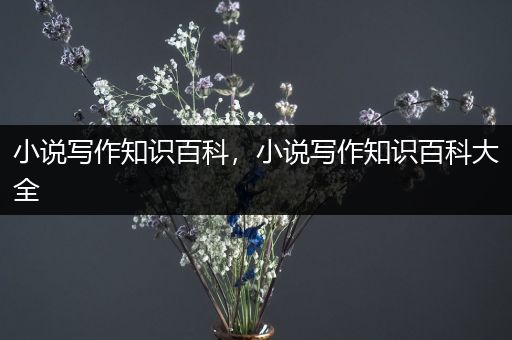 小说写作知识百科，小说写作知识百科大全