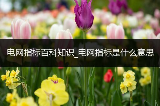 电网指标百科知识_电网指标是什么意思