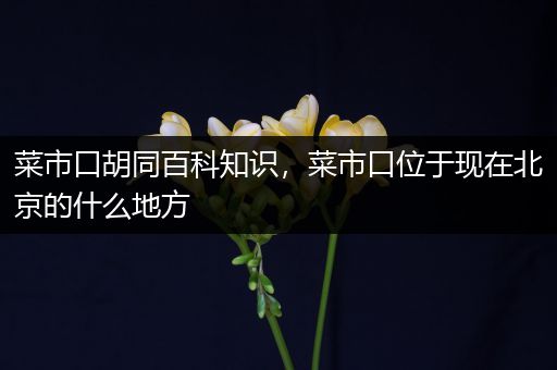 菜市口胡同百科知识，菜市口位于现在北京的什么地方