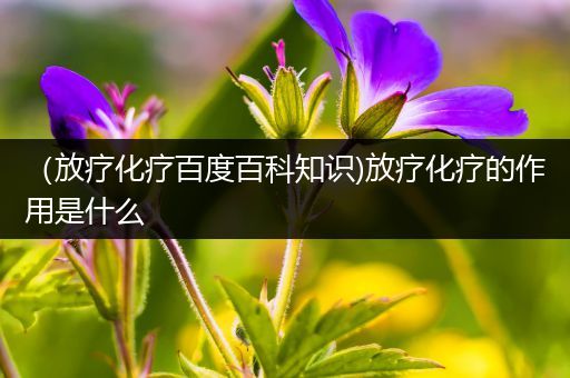 （放疗化疗百度百科知识)放疗化疗的作用是什么