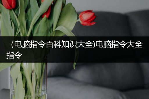 （电脑指令百科知识大全)电脑指令大全指令