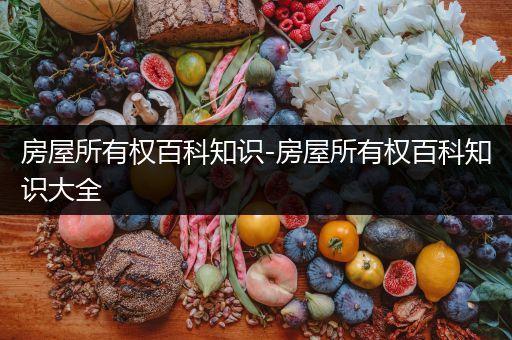 房屋所有权百科知识-房屋所有权百科知识大全