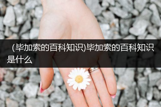 （毕加索的百科知识)毕加索的百科知识是什么