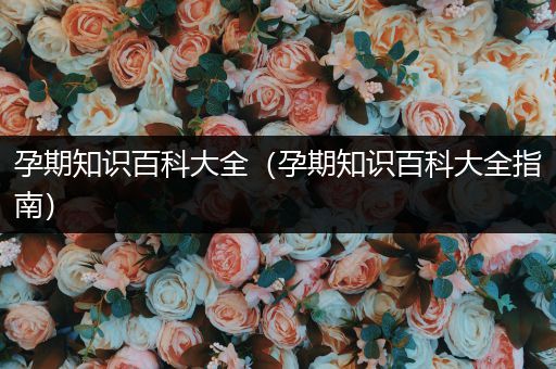 孕期知识百科大全（孕期知识百科大全指南）