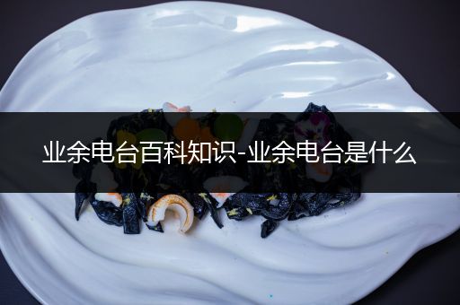 业余电台百科知识-业余电台是什么