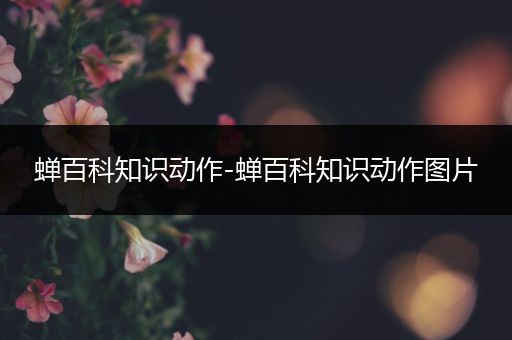 蝉百科知识动作-蝉百科知识动作图片