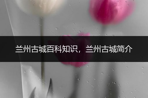 兰州古城百科知识，兰州古城简介