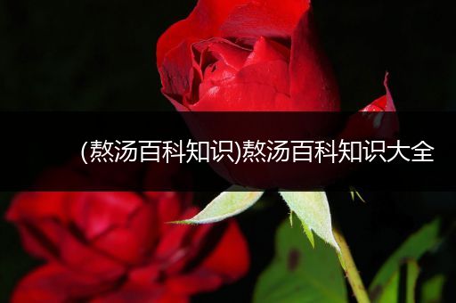（熬汤百科知识)熬汤百科知识大全