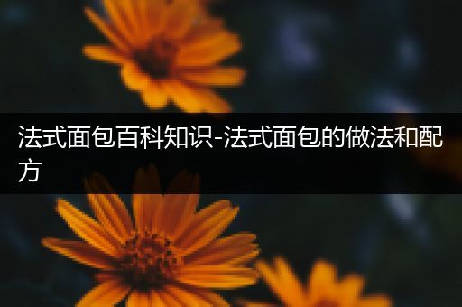 法式面包百科知识-法式面包的做法和配方