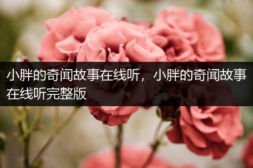 小胖的奇闻故事在线听，小胖的奇闻故事在线听完整版