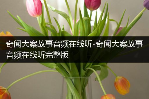 奇闻大案故事音频在线听-奇闻大案故事音频在线听完整版
