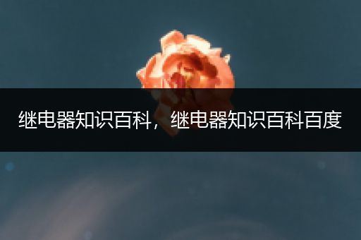 继电器知识百科，继电器知识百科百度