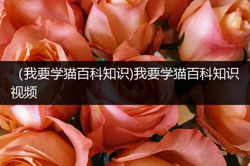 （我要学猫百科知识)我要学猫百科知识视频