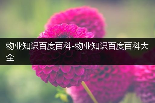 物业知识百度百科-物业知识百度百科大全