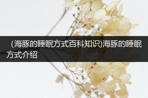 （海豚的睡眠方式百科知识)海豚的睡眠方式介绍