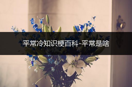平常冷知识梗百科-平常是啥
