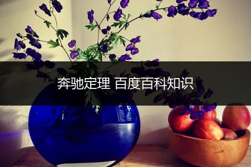 奔驰定理 百度百科知识