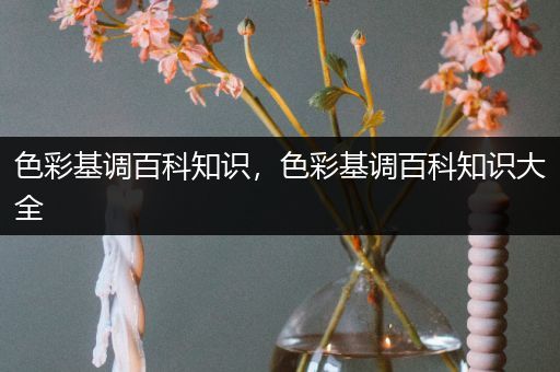 色彩基调百科知识，色彩基调百科知识大全