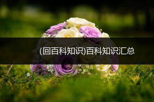 （回百科知识)百科知识汇总
