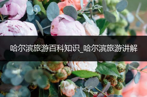哈尔滨旅游百科知识_哈尔滨旅游讲解