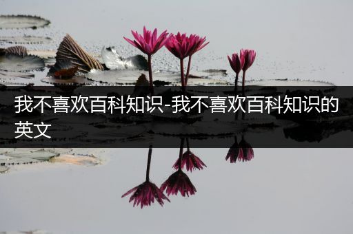 我不喜欢百科知识-我不喜欢百科知识的英文