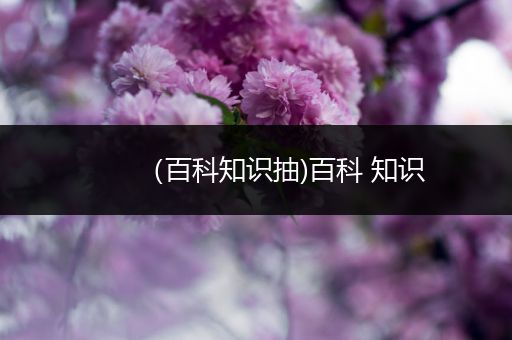 （百科知识抽)百科 知识
