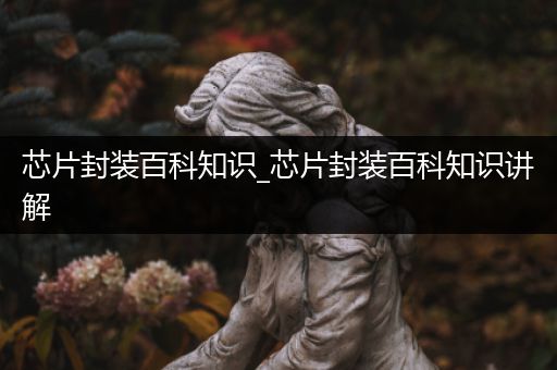 芯片封装百科知识_芯片封装百科知识讲解