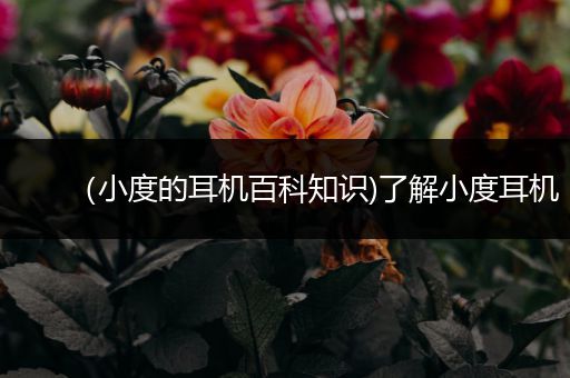 （小度的耳机百科知识)了解小度耳机