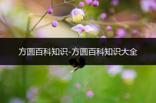 方圆百科知识-方圆百科知识大全