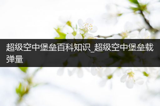 超级空中堡垒百科知识_超级空中堡垒载弹量