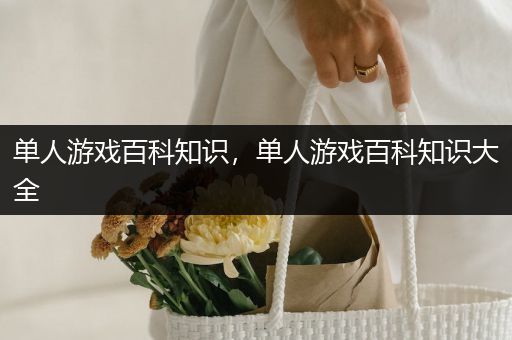 单人游戏百科知识，单人游戏百科知识大全