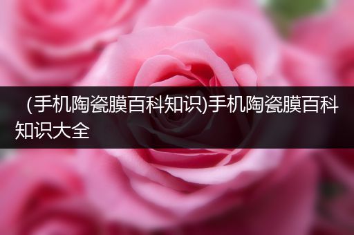 （手机陶瓷膜百科知识)手机陶瓷膜百科知识大全