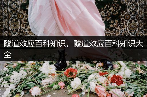 隧道效应百科知识，隧道效应百科知识大全