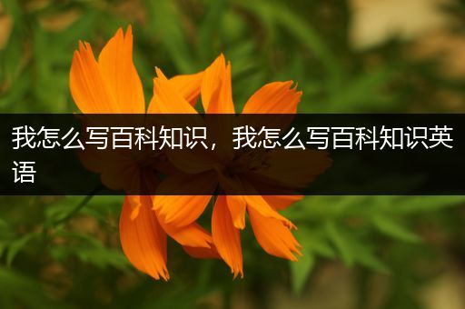 我怎么写百科知识，我怎么写百科知识英语