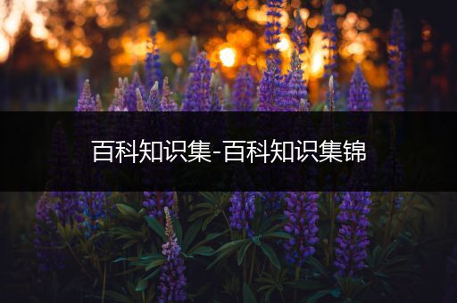 百科知识集-百科知识集锦