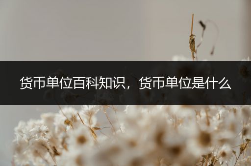 货币单位百科知识，货币单位是什么