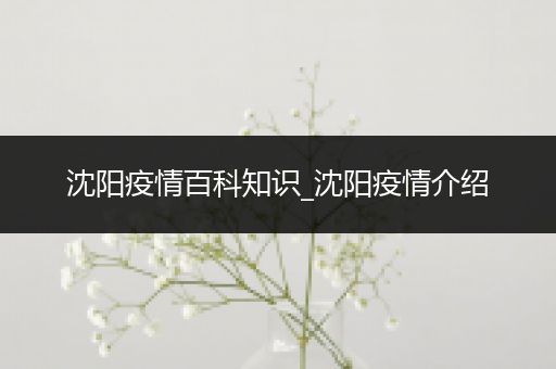 沈阳疫情百科知识_沈阳疫情介绍