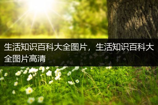 生活知识百科大全图片，生活知识百科大全图片高清