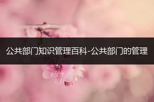 公共部门知识管理百科-公共部门的管理