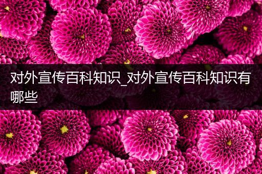 对外宣传百科知识_对外宣传百科知识有哪些